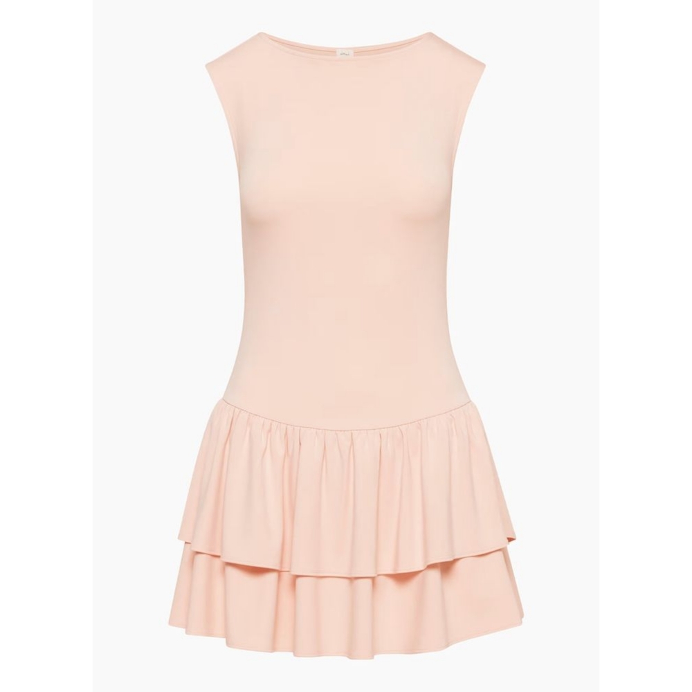 Aritzia Bloomsbury Dress